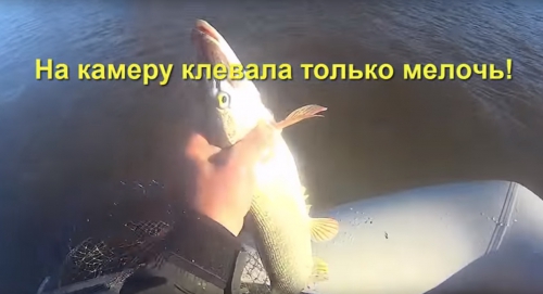 Рыбалка в Молчаново