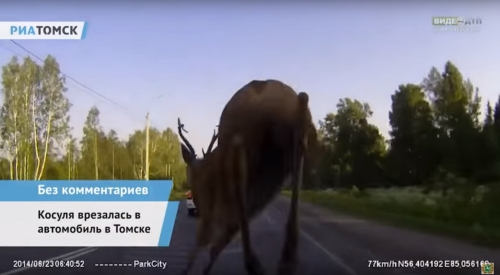 ДТП в Томской области 
