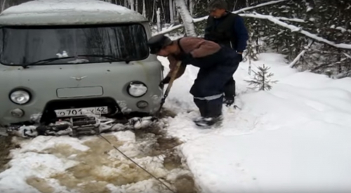 На озера в Томскую область.Зима.