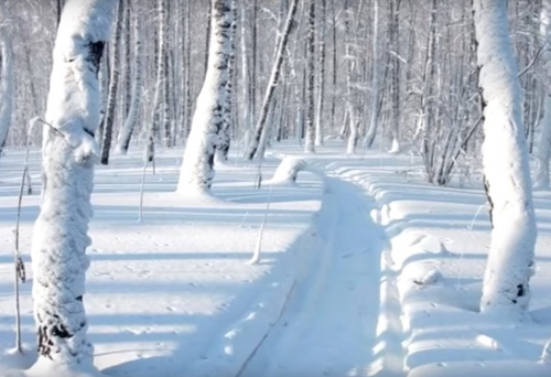 Западная Сибирь г.Томск